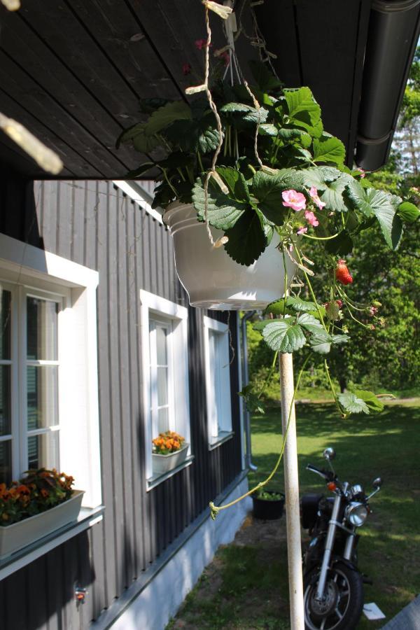 Hotel Uki Puhkekuela Pärnu Esterno foto